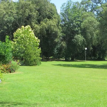 L'alisgianinca